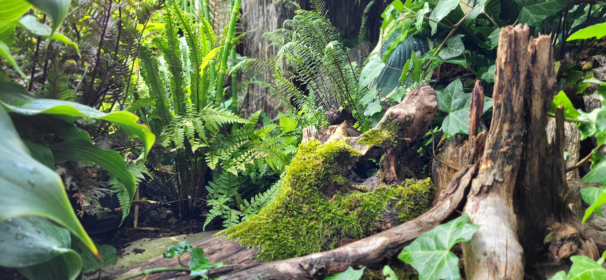 Realizacja ogrodu 1